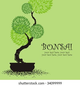 vector stylized bonsai