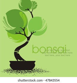 vector stylized bonsai