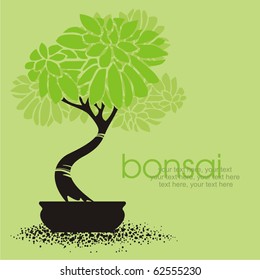 vector stylized bonsai