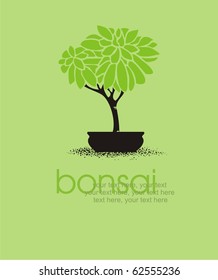 vector stylized bonsai