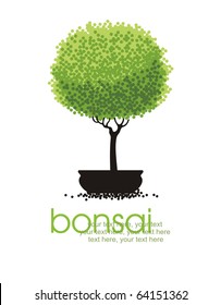 vector stylized bonsai