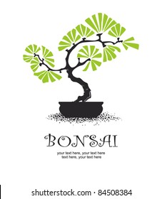 vector stylized bonsai