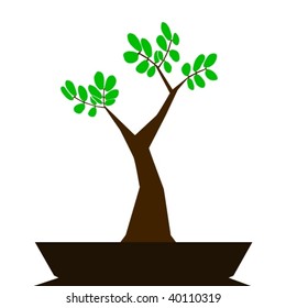 Vector of a stylized bonsai tree on a white background.