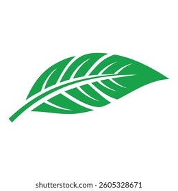 Vector Stylized Botanical Illustration of a Vibrant Green Palm Frond with a Symmetrical and Elegant Design