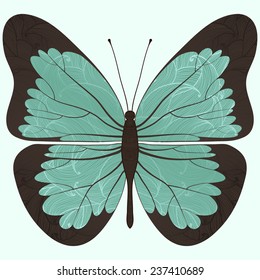 vector stylized butterfly, ornament covered wings