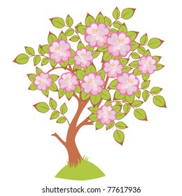 vector stylized cherry blossoms isolated on white background