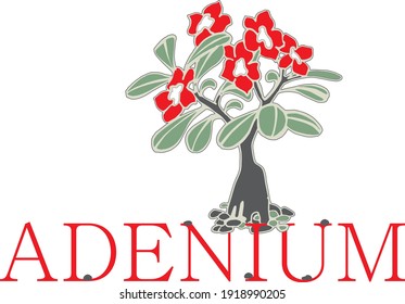Vector stylized drawing of adenium. Many bright red buds on a thick trunk with green leaves. The plant stands on red letters. Stylish logo for florists