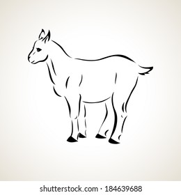 vector stylized figure of a goat