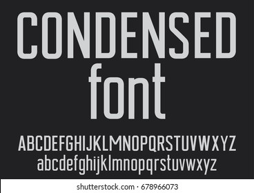 Vector of stylized font and alphabet