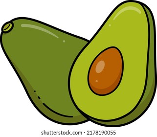 Vector stylized fresh avocado fruit isolated on a white background. Whole and half-cut avocado drawing