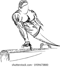 vector stylized gymnast, Pommel horse sketch