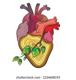 Vector stylized heart illustration with a tree branch and blood veins