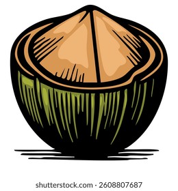 A vector stylized illustration of a coconut, showcasing its brown shell and green outer layer. The coconut is depicted with a smooth texture and a slightly open top, revealing the inner shell.