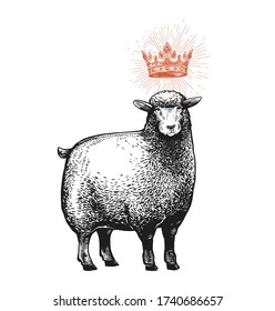 Vector Stylized Illustration of the Sheep with the crown over the head and surprised fasial expression. Vector illustration of the Queen Sheep in graphic style Isolated on a white background