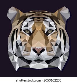 Vector stylized image of the head of an Indian tiger, made in the low poly technique on a dark background.