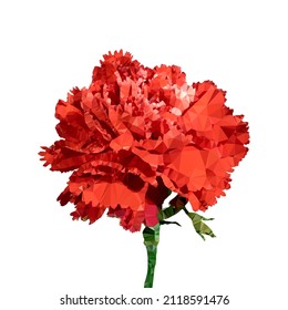 Vector Stylized Image Red Terry Carnation Stock Vector (Royalty Free ...