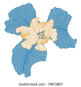 Vector stylized iris flower.