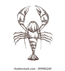 vector stylized linear silhouette of a lobster on a white background