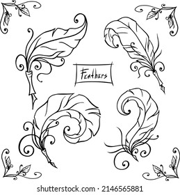 Vector stylized old feather pens
