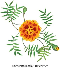 vector stylized ornamental marigold flower on white background