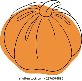 Vector stylized pumpkin. Pumpkin line. The pumpkin icon is isolated. Halloween