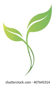 Vector stylized silhouette of spring green tree leaf isolated on white background. Eco sign, nature label. Decorative element for medical, nutrition, ecological brands.