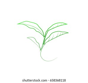 Vector stylized silhouette of spring green tree leaf. Eco sign, nature label. Decorative element for medical, nutrition, ecological brands.

