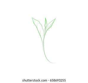 Vector stylized silhouette of spring green tree leaf. Eco sign, nature label. Decorative element for medical, nutrition, ecological brands.

