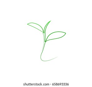 Vector stylized silhouette of spring green tree leaf. Eco sign, nature label. Decorative element for medical, nutrition, ecological brands.

