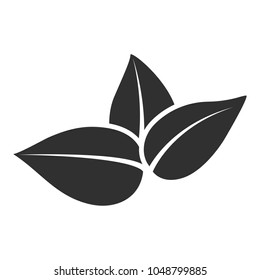 Vector stylized silhouette of tea tree spring leaf isolated on white background. Eco sign, label of nature. Decorative element for medical, environmental brands