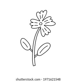Vector stylized spring flower with monoline. Scandinavian illustration art element. Decorative summer floral image for greeting Valentine card or poster, holiday banner.