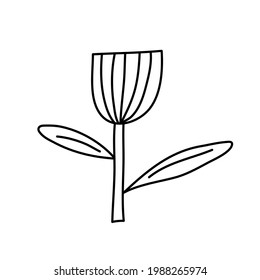 Vector stylized spring flower with monoline style. Scandinavian illustration art element. Decorative summer floral image for greeting Valentine card or poster, holiday banner.