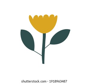 Vector stylized yellow spring flower. Scandinavian illustration art element. Decorative summer floral image for greeting Valentine card or poster, holiday banner.