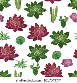 Vector Succulent and Cactus Seamless Pattern