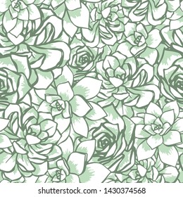 Vector succulent flower bed seamless pattern. Hand drawn vector illustration of echeveria . Green and light background ideal for wallpaper, textile, invitations.