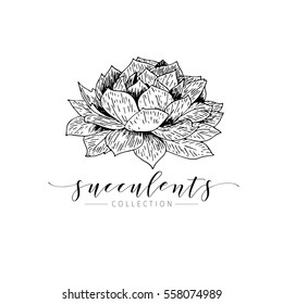 Vector succulent. Hand drawn botanical art isolated on white background. Floral illustration. Decorated with lettering. Dessert plants cactus collection. Use for your design