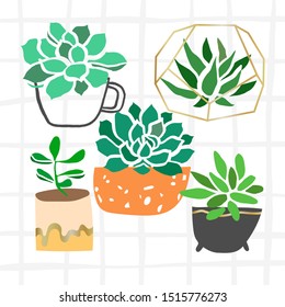 Vector succulent plant hand drawn modern illustration isolated on white