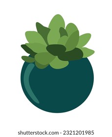 Vector succulent plant isolated on white background. Flat style color illustration. Design element for decoration, postcard, flower shop label, print, shopper bag, t shirt printing.