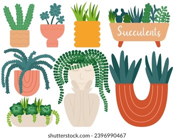 Vector succulent plants set with differnet homeplants in trendy pots. Trendy indoor home houseplants flat style set