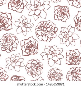 Vector succulent seamless vector pattern with echeveria. Hand drawn vector illustration. Line art background ideal for wallpaper, textile, invitations.