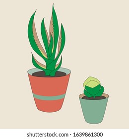 Vector succulents in bright pots on a beige background