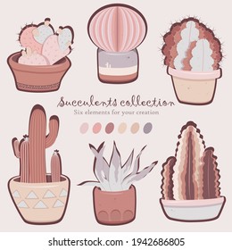 Colección de suculentos vectores. Seis elementos para su creación. Utilícelo como íconos, pegatinas, diseño o algo más.