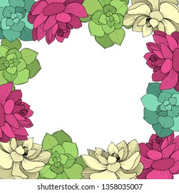 Vector Succulents floral botanical flower. Wild spring leaf wildflower isolated. Engraved ink art on white background. Frame border ornament square.