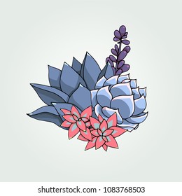 Vector succulents floral composition. Succulent ornament.  Natural bouquet. Colored succulents and cactus floral print. Hand drawn art work.