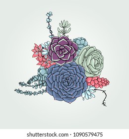 Vector succulents floral composition. Succulent ornament.  Natural bouquet. Colored succulents and cactus floral print. Hand drawn art work.