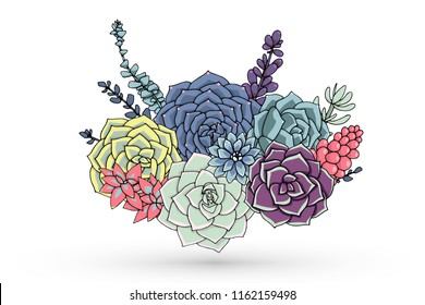 Vector succulents floral composition. Succulent ornament.  Natural bouquet. Colored succulents and cactus floral print. Hand drawn art work.