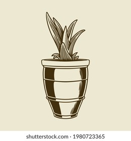 Vector succulents. Hand drawn botanical art isolated cactus in pot. Decorative houseplant in old vintage engraving sketch. Exotic dessert plants concept. Floral illustration