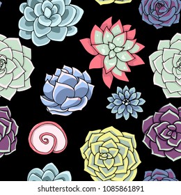 Vector succulents seamless pattern. Succulent ornament.  Natural composition. Colored succulents and cactus floral print. Hand drawn art work.