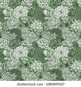 Vector succulents seamless pattern. Succulent ornament.  Natural composition. Colored succulents and cactus floral print. Hand drawn art work.