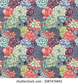 Vector succulents seamless pattern. Succulent ornament.  Natural composition. Colored succulents and cactus floral print. Hand drawn art work.